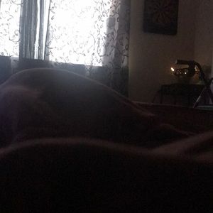 Meet your Posher, Davion